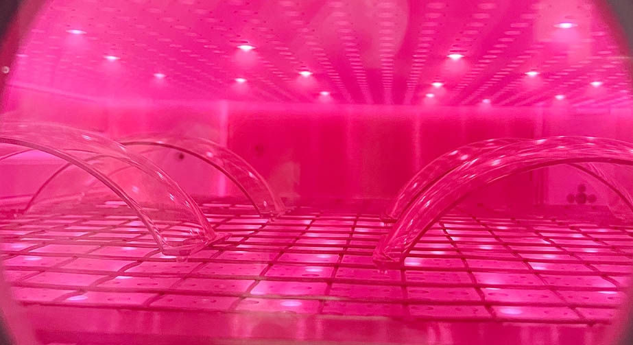 免费正能量网站www正能量处理和电晕处理的区别与联系