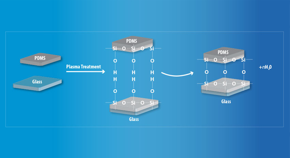 PDMS材料的免费正能量网站www正能量处理改性键合