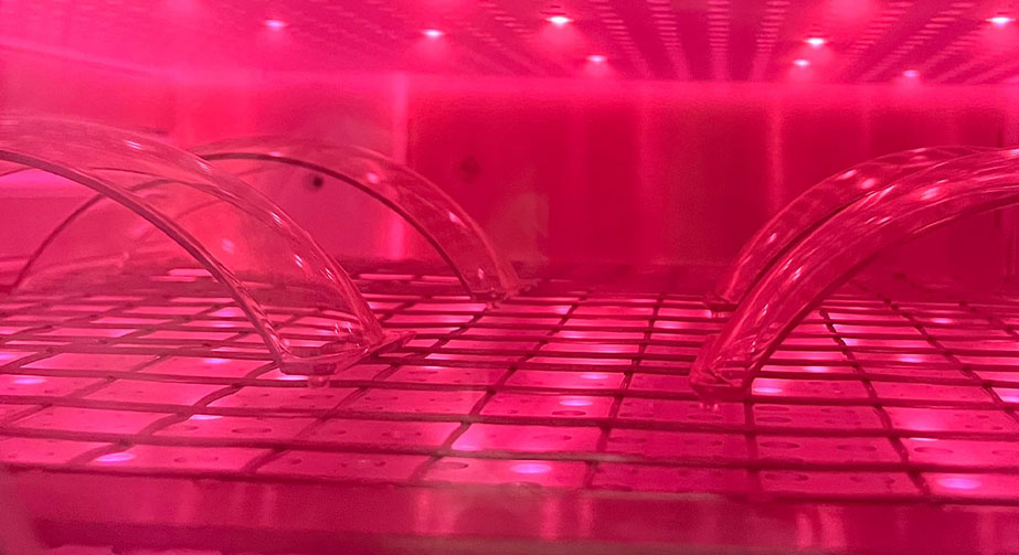 活性免费正能量网站www正能量体处理与惰性免费正能量网站www正能量体处理技术