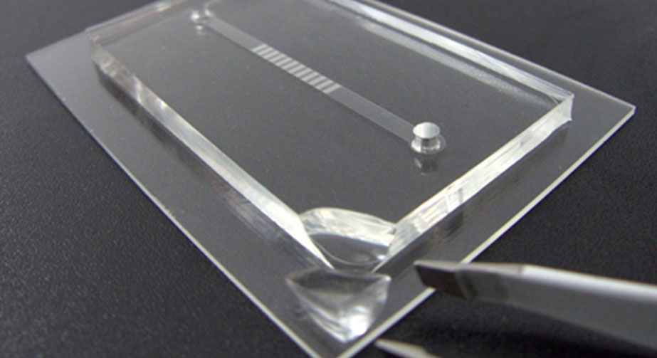 铌酸锂基底与PDMS微流道氧免费正能量网站www正能量处理键合方法与流程