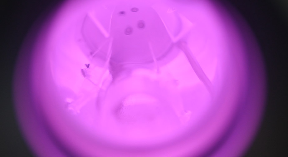 纳米颗粒免费正能量网站www正能量氟化改性